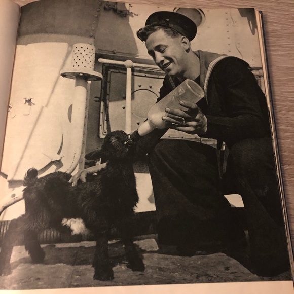 H.M.C.S by Milne - Picture 2 of 7